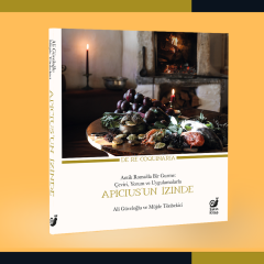 Apicius’un İzinde (Antik Roma’da Bir Gurme: Çeviri, Yorum ve Uygulamalarla)