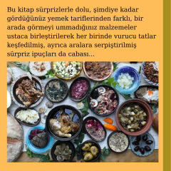 Apicius’un İzinde (Antik Roma’da Bir Gurme: Çeviri, Yorum ve Uygulamalarla)