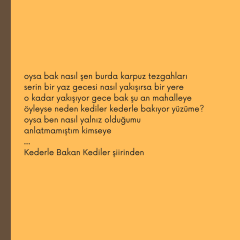 Kederle Bakan Kediler