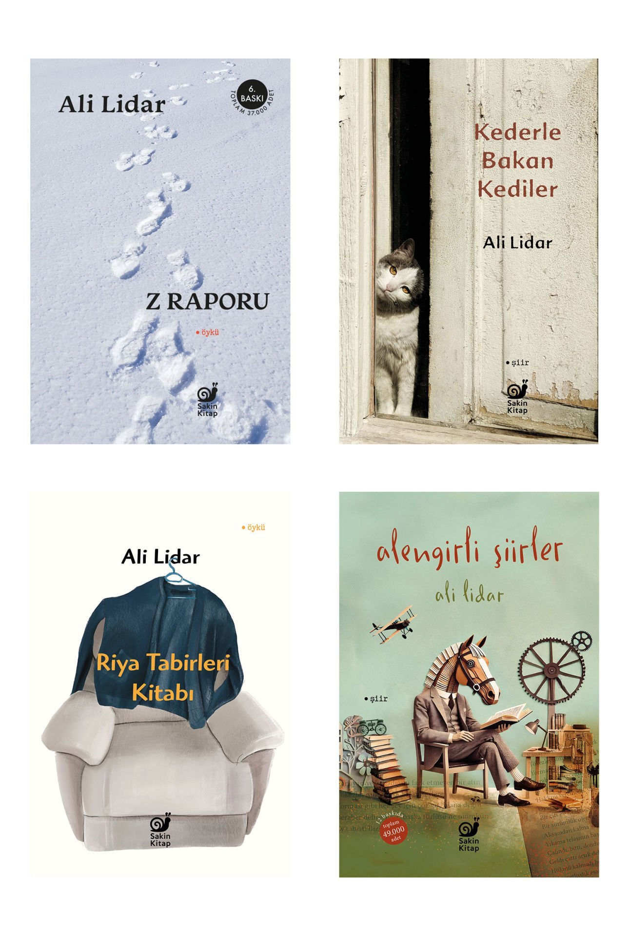 Ali Lidar Set (Alengirli Şiirler, Kederle Bakan Kediler, Riya Tabirleri Kitabı, Z Raporu) 4 Kitap