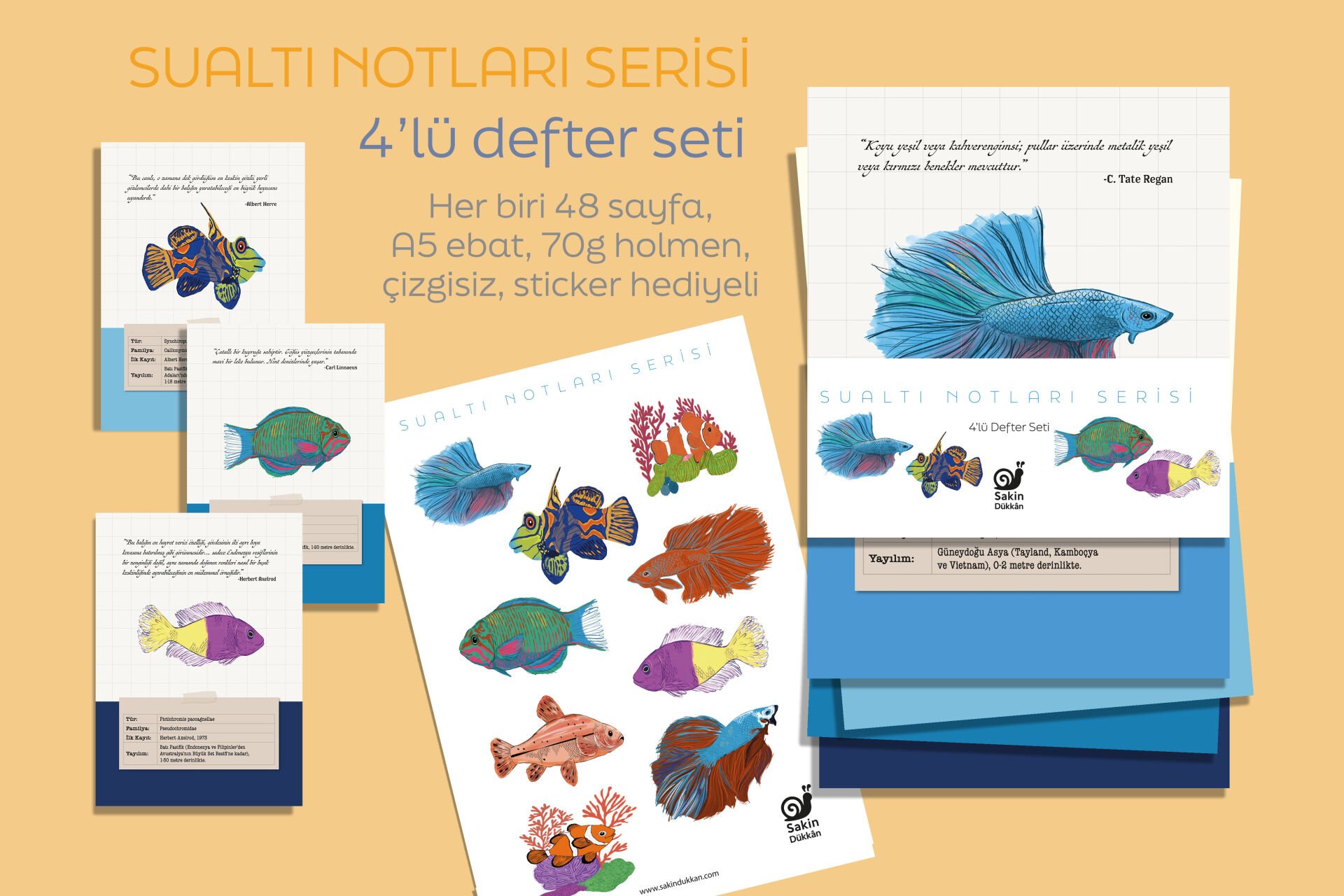 Su Altı Notları Serisi (Erdem Barışık)
