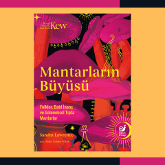 Mantarların Büyüsü