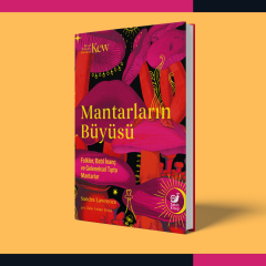 Mantarların Büyüsü: Sert Kapak Özel Edisyon