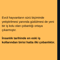 Antik Çağ Çoban Sözlüğü